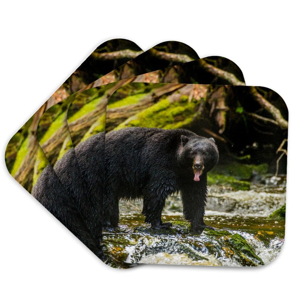 Set of 4 Coasters N241
