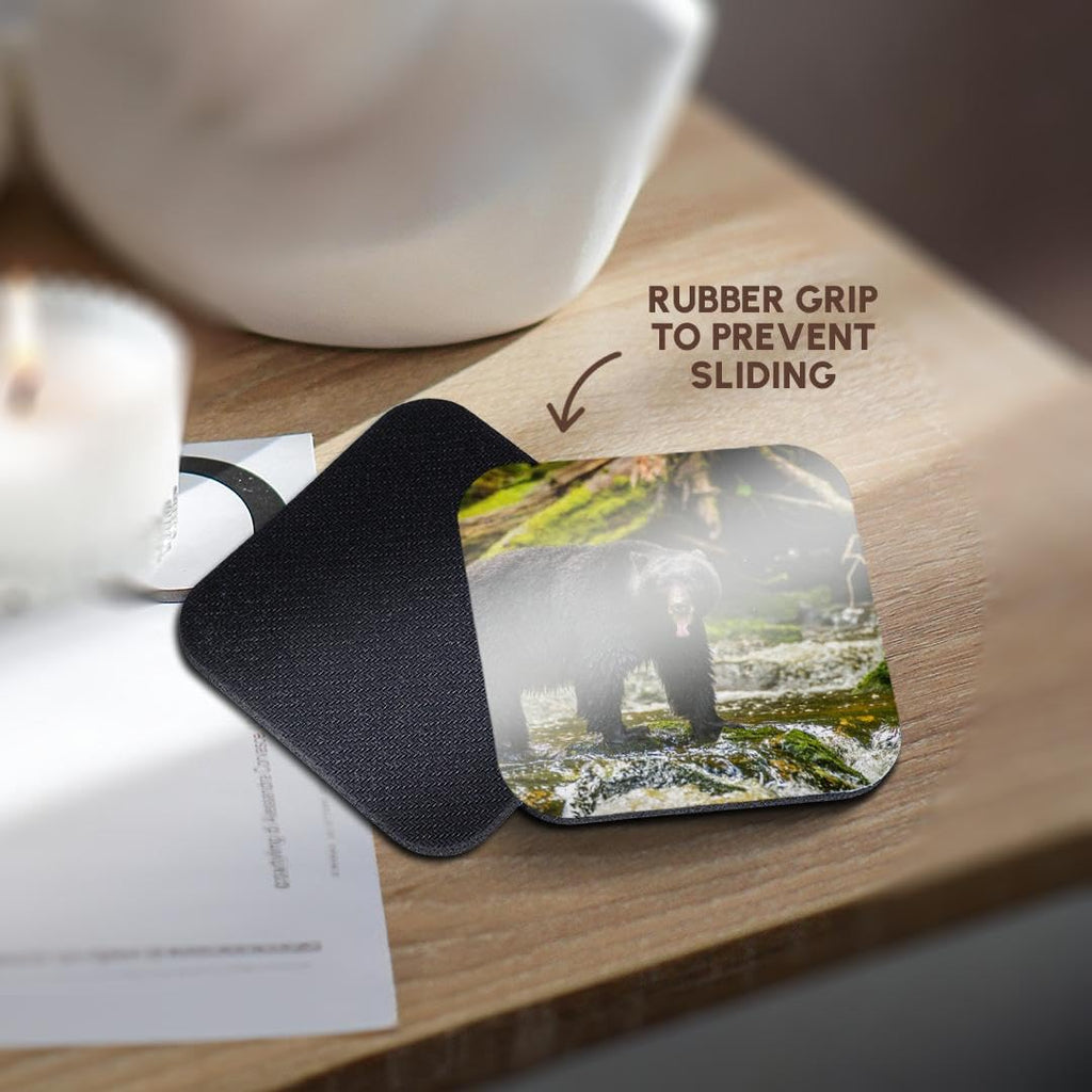 Set of 4 Coasters N241