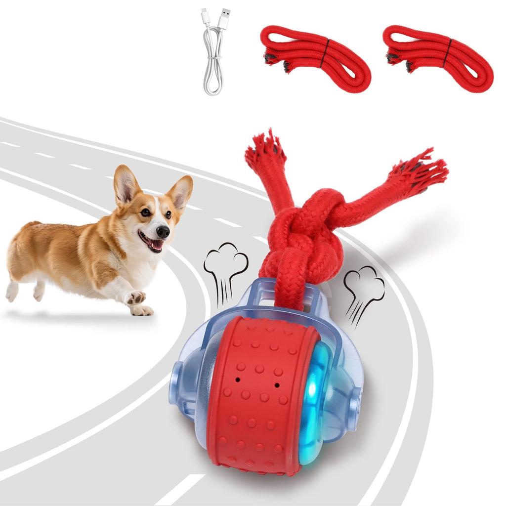 Interactive Rolling Dog Toys with Rope W319136