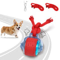 Interactive Rolling Dog Toys with Rope W319136