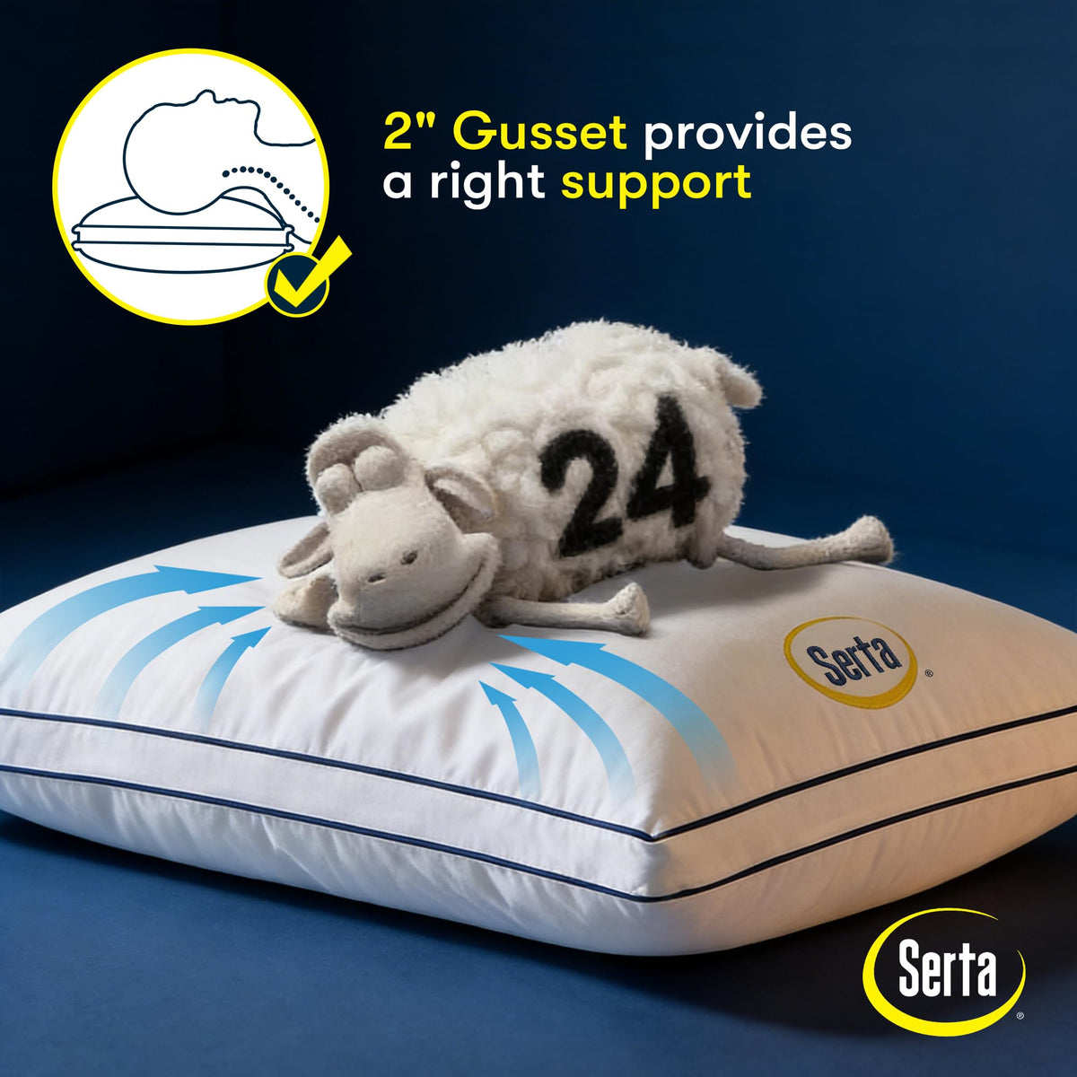 Queen Size Set of 2 Bed Pillows S857