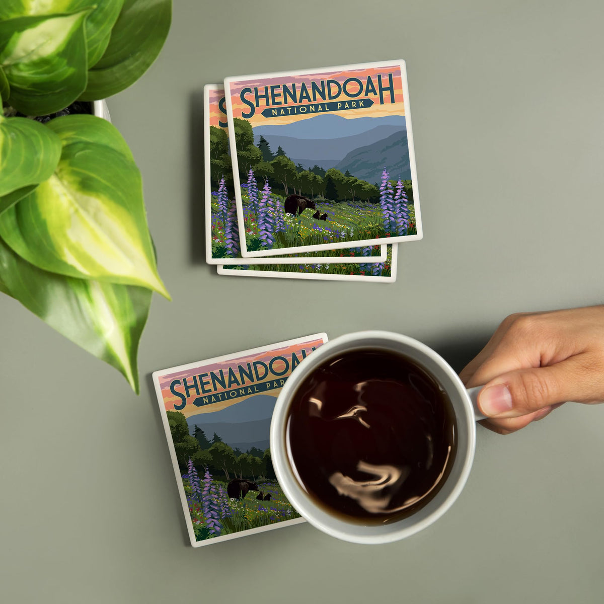Ceramic Coasters Set of 4 L29209