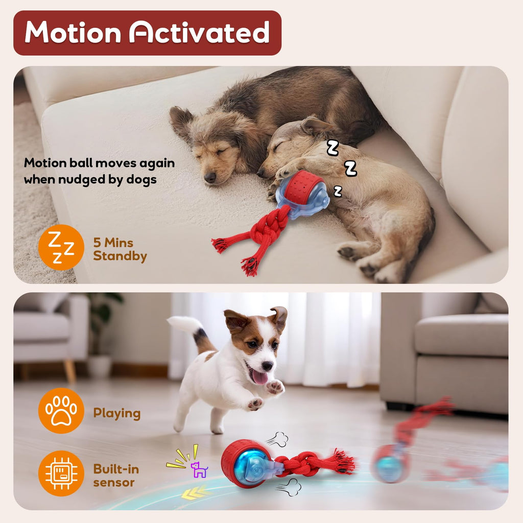 Interactive Rolling Dog Toys with Rope W319136