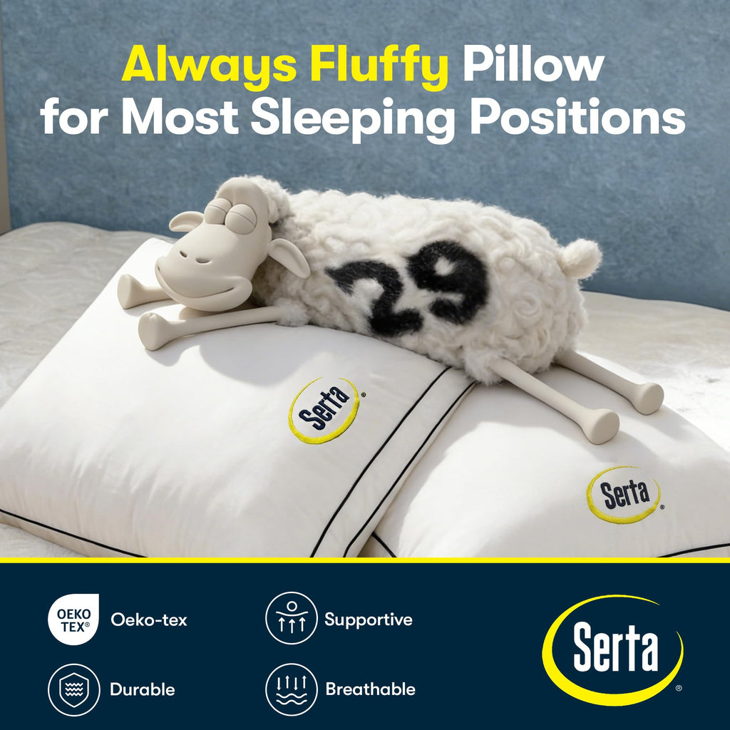 Queen Size Set of 2 Bed Pillows S857