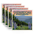 Ceramic Coasters Set of 4 L29209