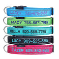 Personalized Dog Collar, 4 Adjustable Sizes Quick Release Buckle and D-Ring X5497