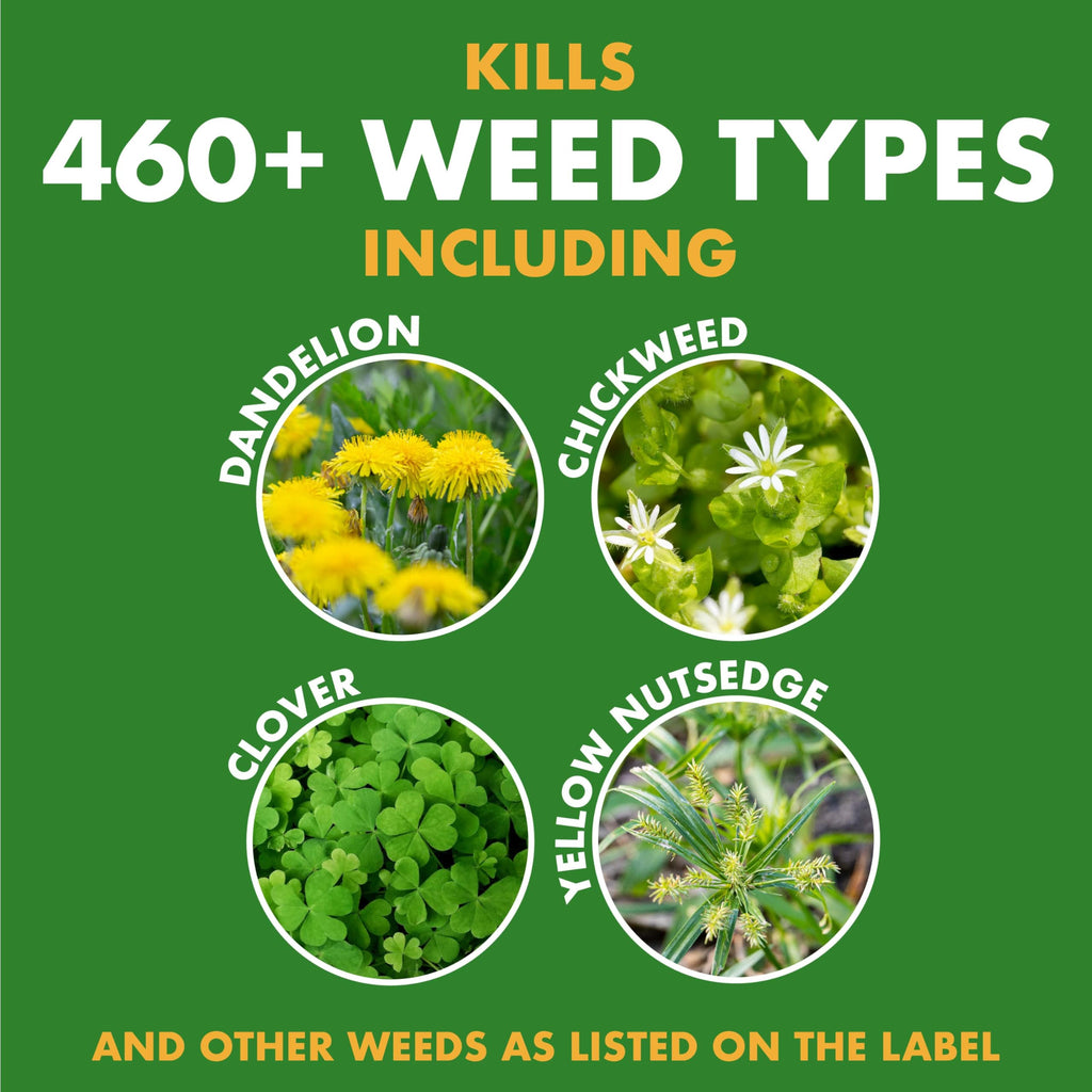 Weed Stop for Lawns Concentrate 32 Oz C149163