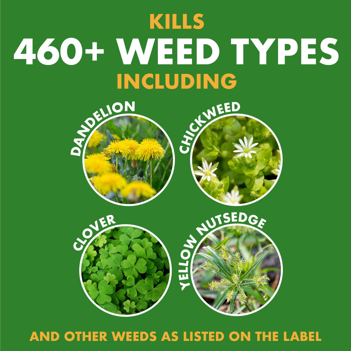 Weed Stop for Lawns Concentrate 32 Oz C149163