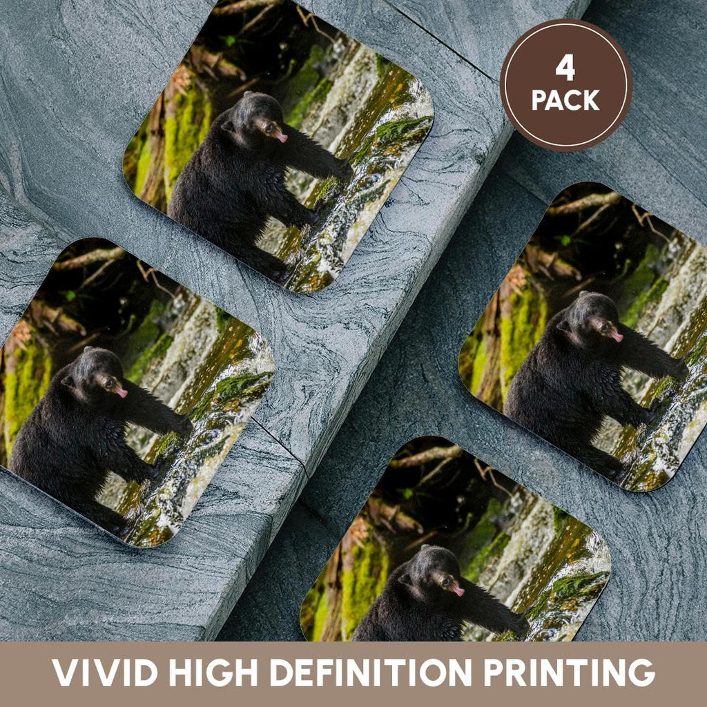 Set of 4 Coasters N241
